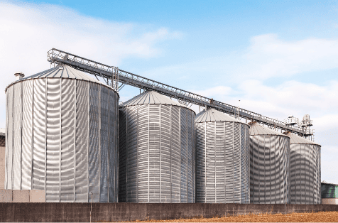 Galpón de metal, espacio ideal para la actividad agropecuaria